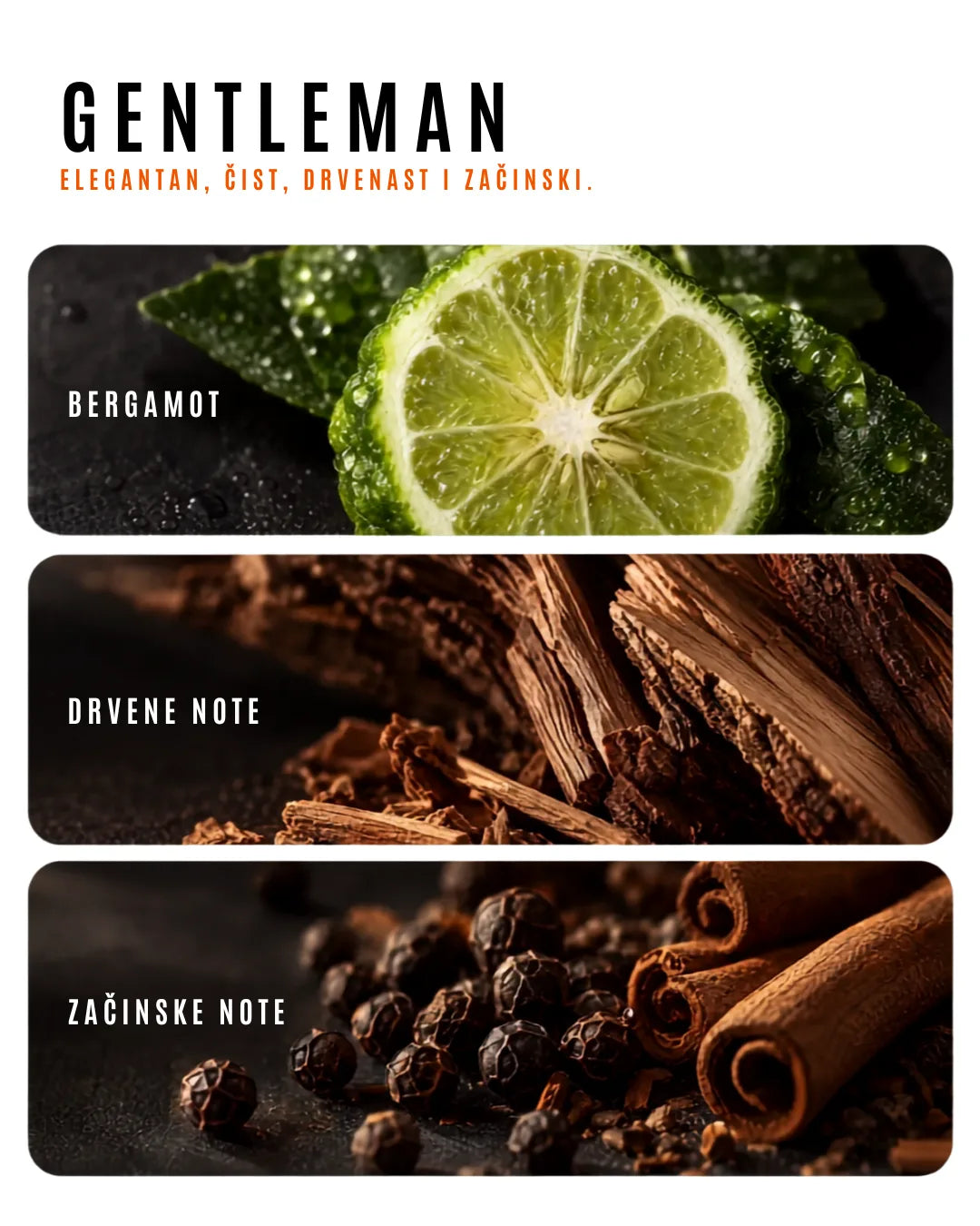 GENTLEMAN